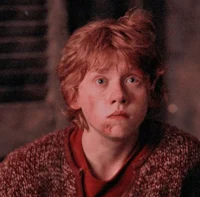 Ron Weasley 