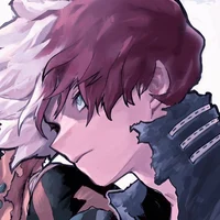 Shoto Todoroki 