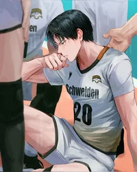 Kageyama Schweiden