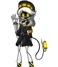 serial designation N