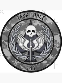 Task force 