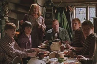 Weasley family