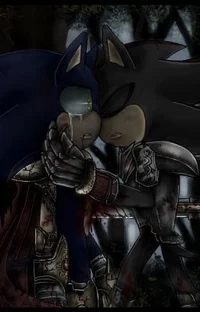 Sonic x Shadow