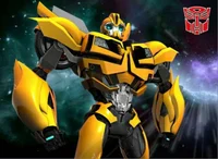 TFP Bumblebee
