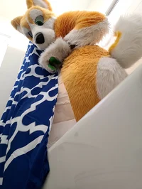 Kyo husky Fursuit 