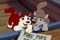 Kodi and Aleu-Balto