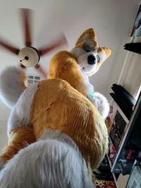 Kyo husky Fursuit 