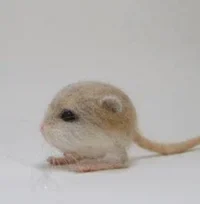 jerboa