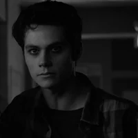 VOID STILES