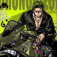 Body guard Zoro