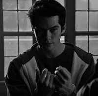 VOID STILES