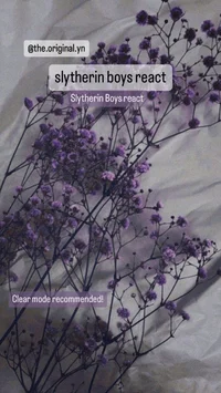 Slytherin boys
