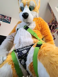 Kyo husky Fursuit 
