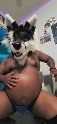 Sebastianfatfox 