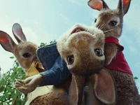 Peter rabbit 