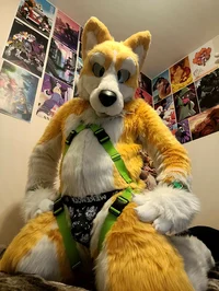 Kyo husky Fursuit 