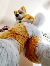 Kyo husky Fursuit 