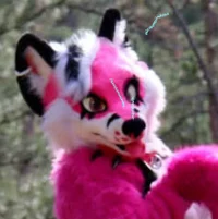 PinkGeminiHusky