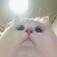 skz school lockdownn