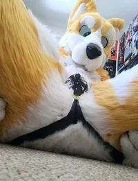 Kyo husky Fursuit 