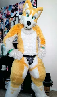 Kyo husky Fursuit 