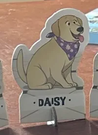 Daisy