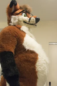 Leon fat fox Fursuit