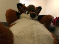 Leon fat fox Fursuit