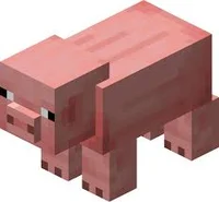 Pig Minecraft