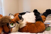Leon fat fox Fursuit