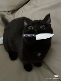 rafael