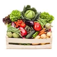 Fruit veggie pet sim