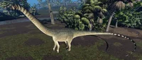 diplodocus