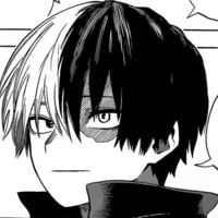 MHA-Todoroki Shoto
