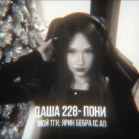 dasha 228