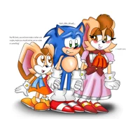Sonic New Family