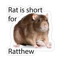 Unstable Roach
