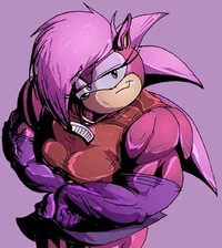 Sonia The Hedgehog