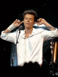 Harry Styles 