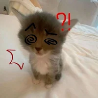 Trio- youre left out