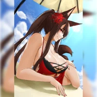 IJN Akagi - Beach