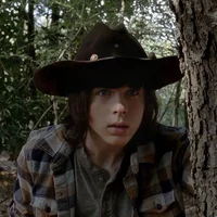 Carl grimes