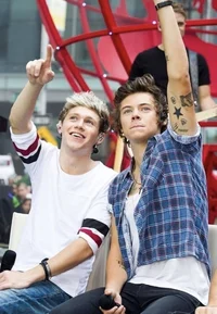 Niall and Harry 