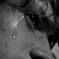 Classical - Daedalus