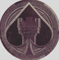 ShadowCompany-Pirate