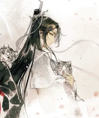 Wolf-Lan Wangji