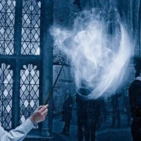 Order of The Phoenix