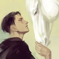 Levi Ackerman