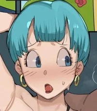 Bulma Briefs