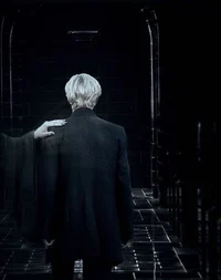 Draco Malfoy 